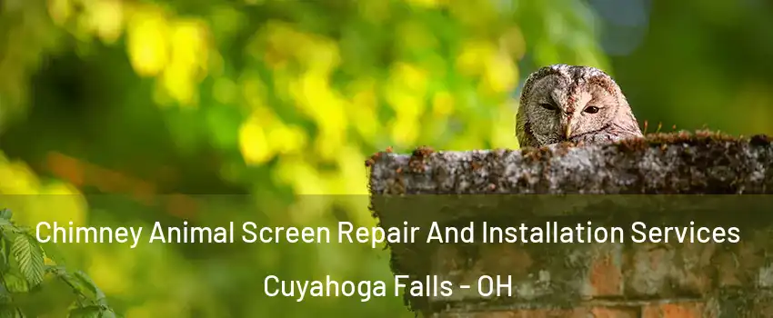  Chimney Animal Screen Repair And Installation Services Cuyahoga Falls - OH