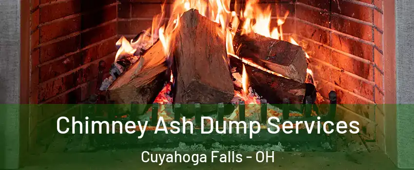  Chimney Ash Dump Services Cuyahoga Falls - OH