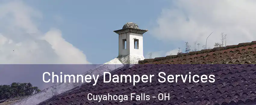 Chimney Damper Services Cuyahoga Falls - OH