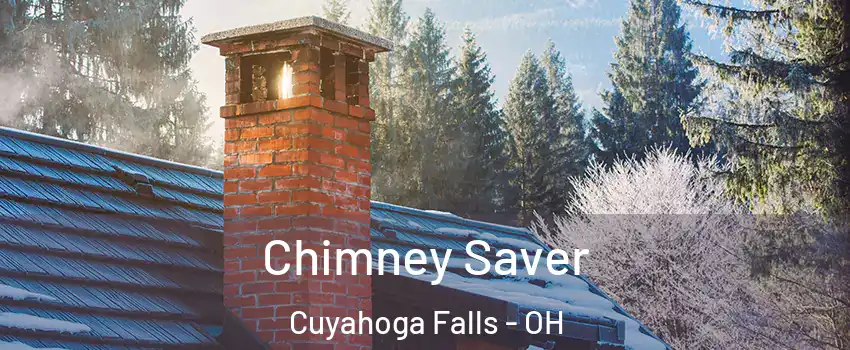  Chimney Saver Cuyahoga Falls - OH