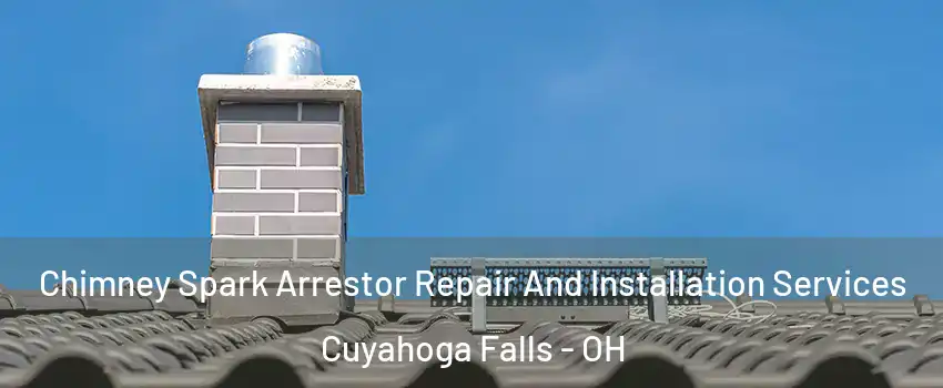  Chimney Spark Arrestor Repair And Installation Services Cuyahoga Falls - OH