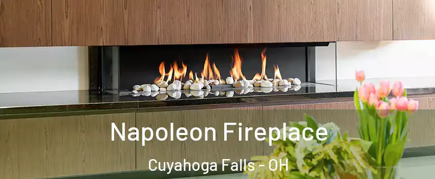 Napoleon Fireplace Cuyahoga Falls - OH