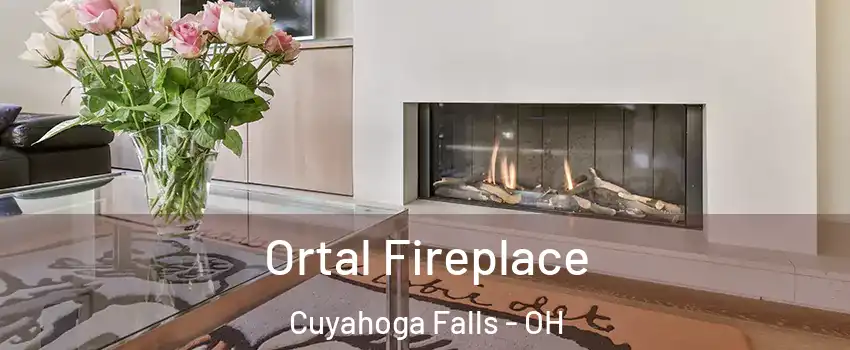 Ortal Fireplace Cuyahoga Falls - OH
